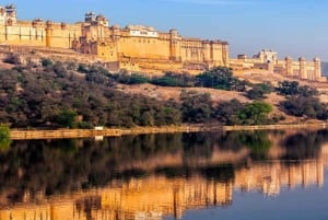 Vanuit Delhi: Jaipur-dagtrip