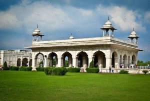 Da Delhi/jaipur:- Tour di un giorno del Taj Mahal e di Agra in auto