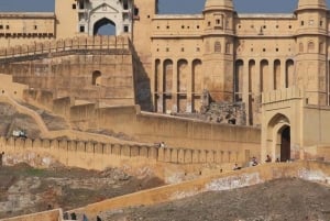 Z Delhi: Jaipur Różowe Miasto Prywatna 1-dniowa wycieczka samochodem.