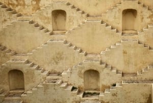 Z Delhi: Jaipur Różowe Miasto Prywatna 1-dniowa wycieczka samochodem.