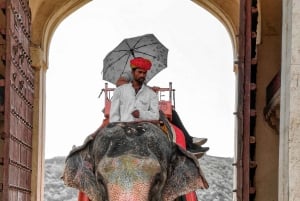 Z Delhi: Jaipur Różowe Miasto Prywatna 1-dniowa wycieczka samochodem.