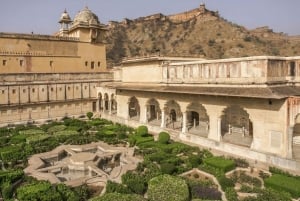 Z Delhi: Jaipur Różowe Miasto Prywatna 1-dniowa wycieczka samochodem.