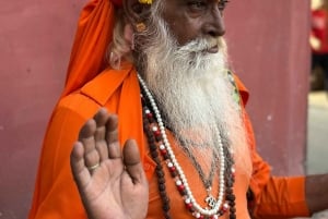 Z Delhi: Jaipur Różowe Miasto Prywatna 1-dniowa wycieczka samochodem.