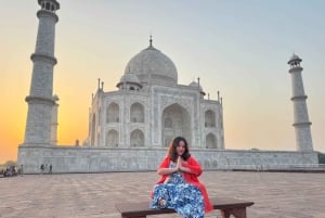 Vanuit Delhi: een luxe tour naar de Taj Mahal met een luxe auto en VIP-toegang