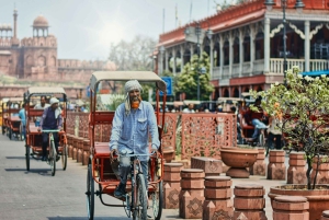 Vanuit Delhi: luxe 4-daagse Gouden Driehoek-tour met Mathura