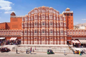 Depuis Delhi : Visite du Temple des Singes et de la ville de Jaipur en voiture