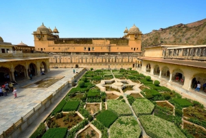 Depuis Delhi : Visite du Temple des Singes et de la ville de Jaipur en voiture