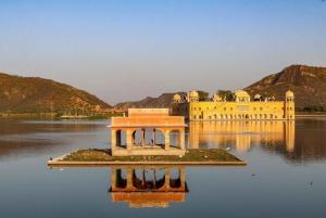 Depuis Delhi : Visite du Temple des Singes et de la ville de Jaipur en voiture