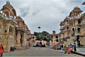 Depuis Delhi : Visite du Temple des Singes et de la ville de Jaipur en voiture