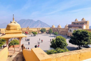 Depuis Delhi : Visite du Temple des Singes et de la ville de Jaipur en voiture