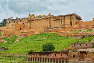 Depuis Delhi : Visite du Temple des Singes et de la ville de Jaipur en voiture