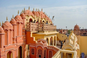 Depuis Delhi : Visite du Temple des Singes et de la ville de Jaipur en voiture