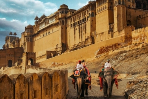 Depuis Delhi : Visite du Temple des Singes et de la ville de Jaipur en voiture