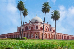 Delhi: Alt- und Neu-Delhi Private Ganz- oder Halbtagestour