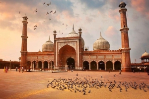 Från Delhi: Sightseeingtur i gamla och nya Delhi med guide