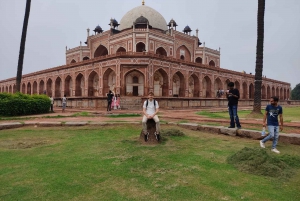 Au départ de Delhi : visite d'une demi-journée ou d'une journée de l'ancienne et de la nouvelle Delhi (Layover)