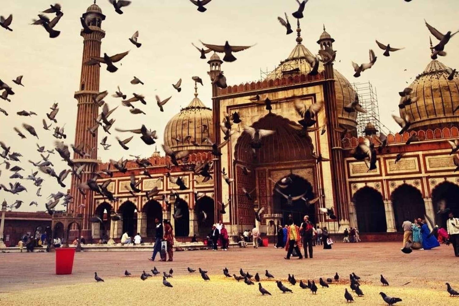 Von Delhi: Private Sightseeingtour durch Alt- und Neu-Delhi