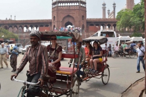 Ab Delhi: Alt- und Neu-Delhi Private Sightseeingtour