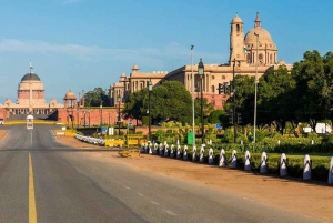 Da Delhi: Tour panoramico privato della Vecchia e Nuova Delhi