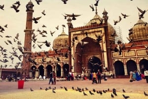 From Delhi: Old & New Delhi Private Sightseeing Tour