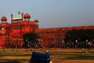From Delhi: Old & New Delhi Private Sightseeing Tour