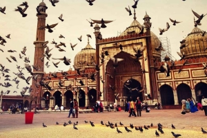 Von Delhi: Private Sightseeingtour durch Alt- und Neu-Delhi