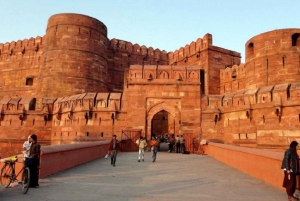 De Delhi : Visite du Taj Mahal et de la ville d'Agra en voiture (nuit)