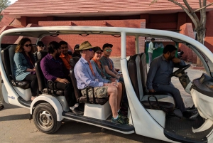 Depuis Delhi : visite nocturne du Taj Mahal et de la ville d'Agra en voiture