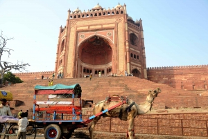 Depuis Delhi : visite nocturne du Taj Mahal et de la ville d'Agra en voiture