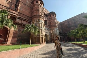 Delhi: Privat tur ved solopgang til Taj Mahal og elefantreservat