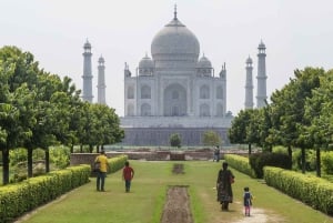 Delhi: Privat tur ved solopgang til Taj Mahal og elefantreservat