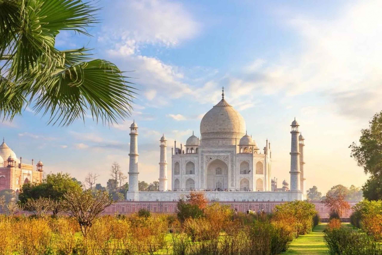 Vanuit Delhi: Premium Taj Mahal & Agra Fort Zonsopgang Tour