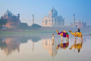 De Délhi: Excursão premium ao Taj Mahal e ao nascer do sol no Forte de Agra