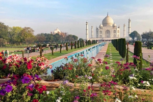 Z Delhi: Wycieczka Premium Taj Mahal i Agra Fort Sunrise Tour