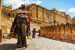 Desde Delhi: Excursión Privada de 3 Días al Triángulo de Oro con Hoteles