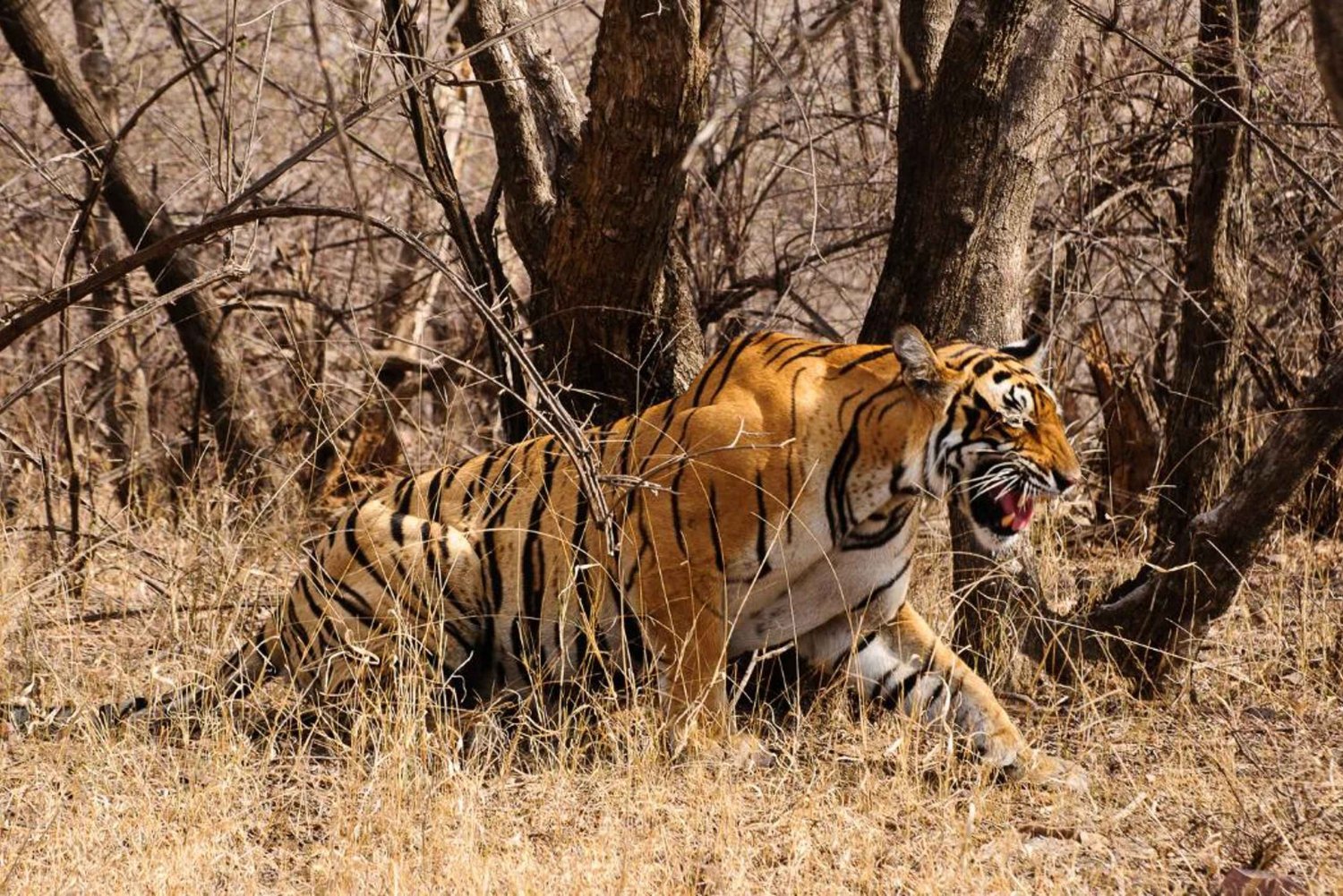 From Delhi: Private 4-Day Golden Triangle Luxury Tour