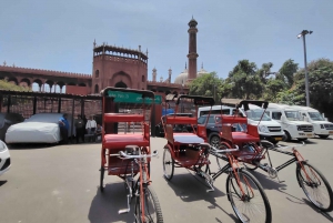 Från Delhi: Privat 5-dagars Golden Triangle Tour