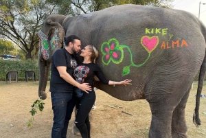 Von Delhi aus: Private 5 Tage Goldenes Dreieck Geführte Tour