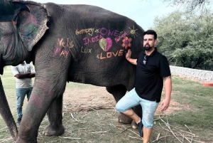 Von Delhi aus: Private 5 Tage Goldenes Dreieck Geführte Tour