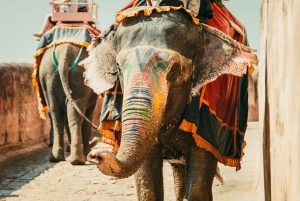 De Delhi: Tour particular de 6 dias pelo Triângulo Dourado com Varanasi