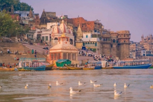 De Delhi: Tour particular de 6 dias pelo Triângulo Dourado com Varanasi