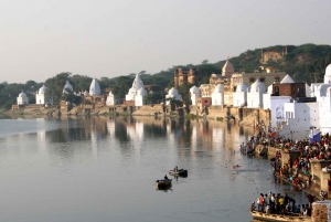 Depuis Delhi : safari privé sur la rivière Chambal