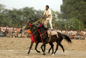 De Deli: Safari privado no rio Chambal