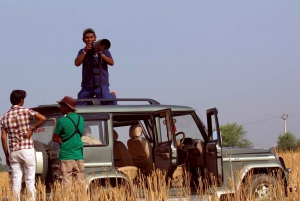 Fra Delhi: Privat Chambal River Safari