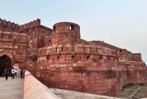 Depuis Delhi : Excursion privée d'une journée à Agra avec guide et transfert