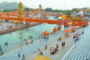 Fra Delhi: Privat dagstur til Haridwar og Rishikesh