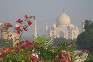 From Delhi: Private Day Trip to Taj Mahal with Agra Fort