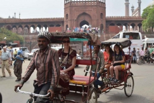 Från Delhi: Privat rundtur till tempel och andliga platser i Delhi