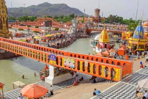 Depuis Delhi : Excursion privée guidée d'une journée à Haridwar et Rishikesh