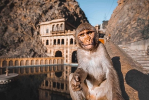 Ab Delhi: Private Jaipur 2-Tages Tour mit Unterkunft